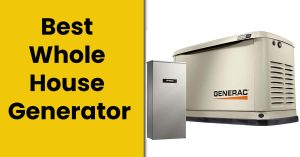 Best Whole House Generator